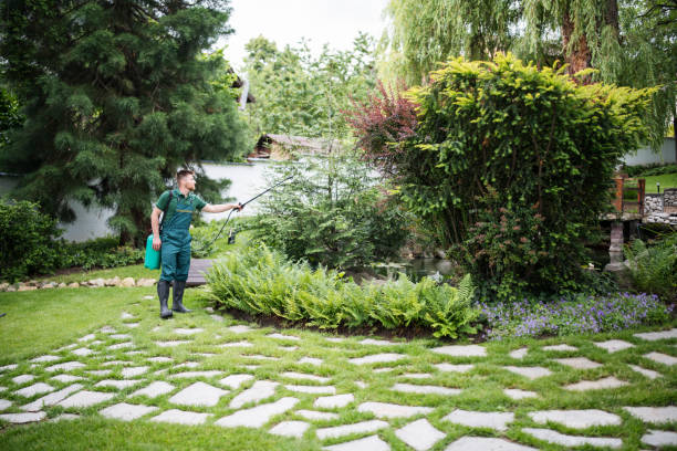 Best Pest Removal Services  in Blanding, UT