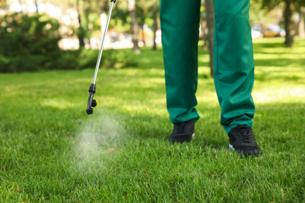 Pest Prevention Services in Blanding, UT